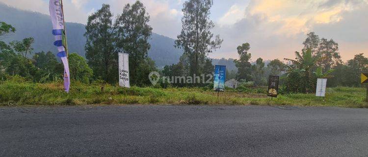 Tanah dengan pemandangan Gunung Lawu di pinggir jalan raya Blumbang 1