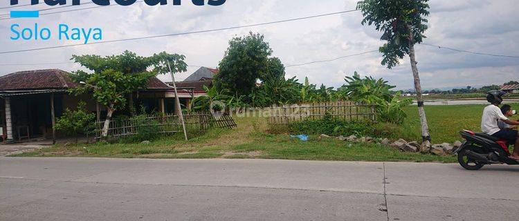 Tanah sawah zona kuning pinggir jalan raya provinsi  1