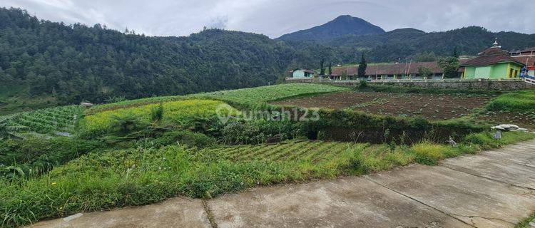 Tanah Pekarangan Siap Bangun Villa 1