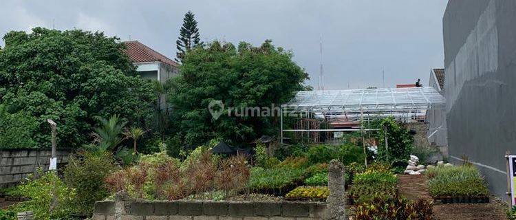 Dijual Tanah Kotak di Kavling Dki Meruya Utara Luas 10x25m Sangat Bgs Untuk Invest 1