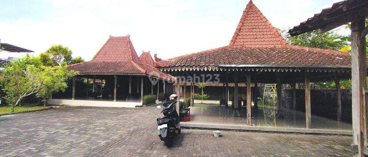 Rumah Joglo Dekat Candi Mendut, Mungkid, Magelang 1