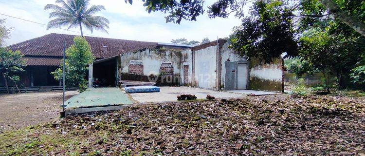 Tanah Bonus Rumah di Borobudur, Magelang 1