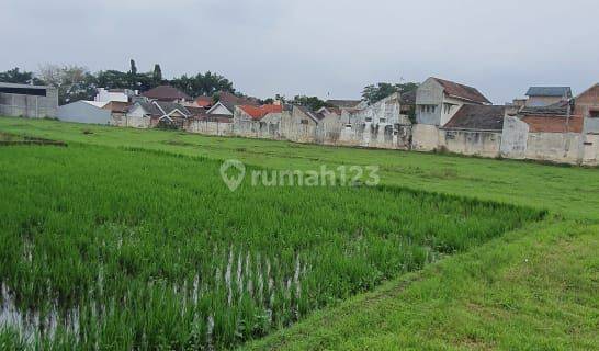 Dijual Tanah Murah Di Blimbing Malang 1