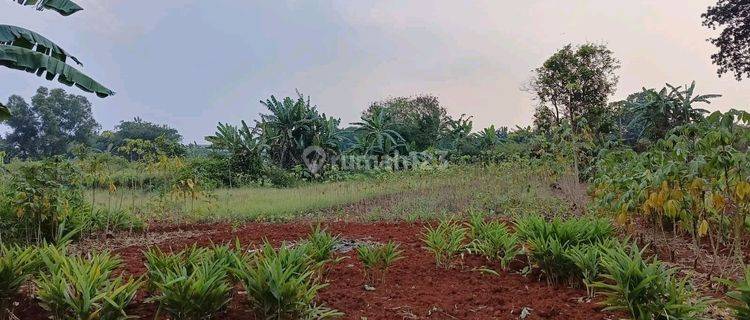 Tanah Dijual Di Bojong Nangka Gunung Putri Bogor Luas 1260 Mtr Shm 1