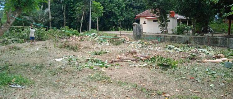 Jual Cepat Tanah Dibelakang Perumahan Citra Indah Jonggol 1