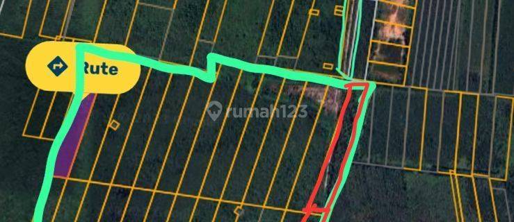 Kavling 49 Ha Di Ds KAYU BAWANG Banjar Kalimantan SELATAN 1