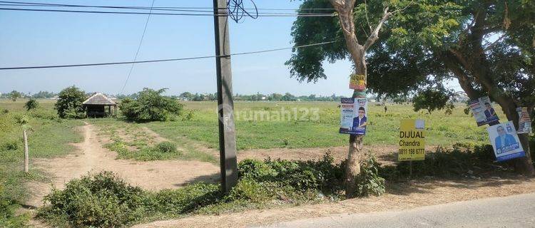 Tanah di Jl Raya Kedaung Babelan Bekasi Utara  1