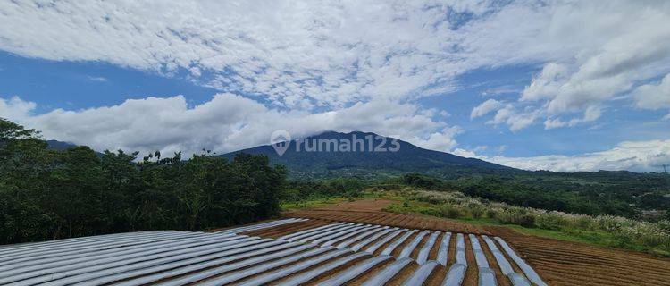 Tanah di Cicurug Sukabumi SHM 1