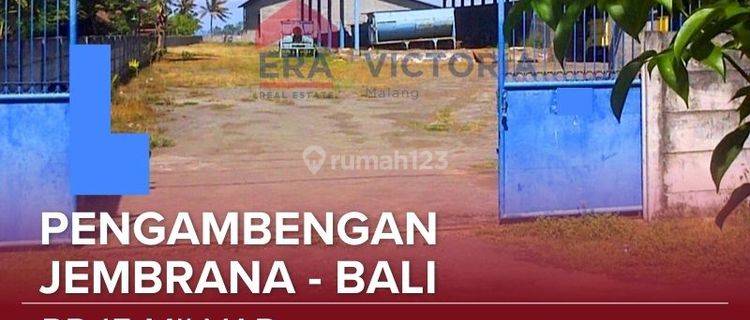 Dijual Gudang Lahan Luas Kawasan Pelabuhan Ikan Di Pengambengan. Cocok Untuk Gudang Penyimpanan Maupun Pabrik 1