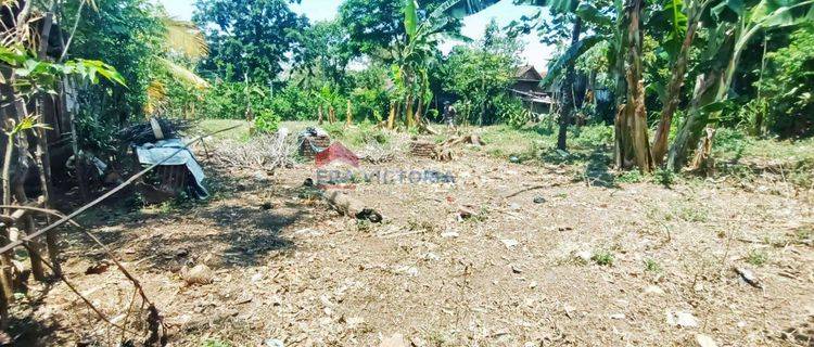 DIJUAL Tanah Akses Jalan Tembus  Depan Belakang, Jalan Paving, 3 Menit ke Poros Jalan Provinsi Cocok untuk Kebun alpukat dan Gudang 1