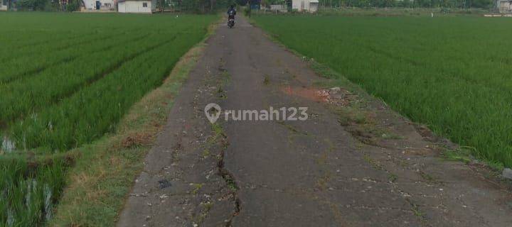 Dijual Tanah Perumahan Di Karang Bahagia Bekasi 1