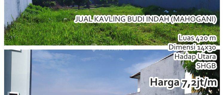 Kavling Budi Indah Mahogani  1