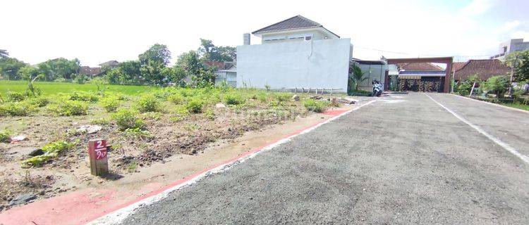 Tanah Kavling Murah Hanya 180 Juta Siap Bangun Shm Ready 1