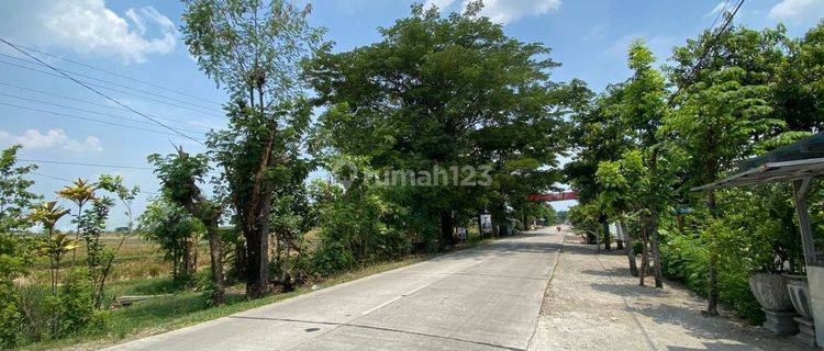 Tanah Lahan Industri Zona Merah 3 Hektar Di Sragen Strategis  1