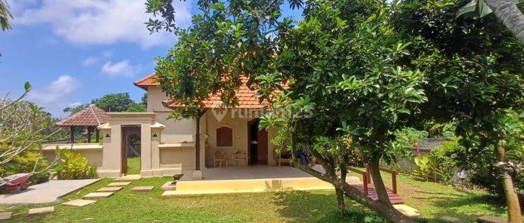 Dijual 3 Bedrooms Villa Besar Dengan View Sawah Dan Jungle di Ubud Gianyar. 1