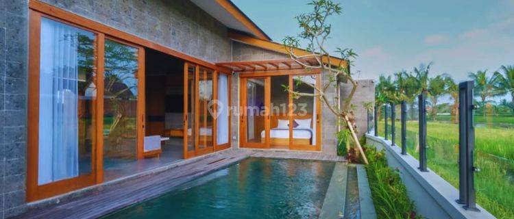 For Sale 2 Bedrooms Villa Contemporary Modern Style In Lodtunduh Ubud. 1