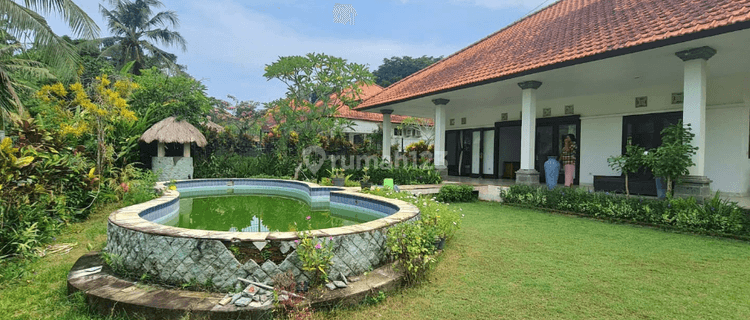 Yearly Rental 3 Bedrooms Villa Furnished Dgn View Pedesaan Lingkungan Villa Di Selemadeg Tabanan 1