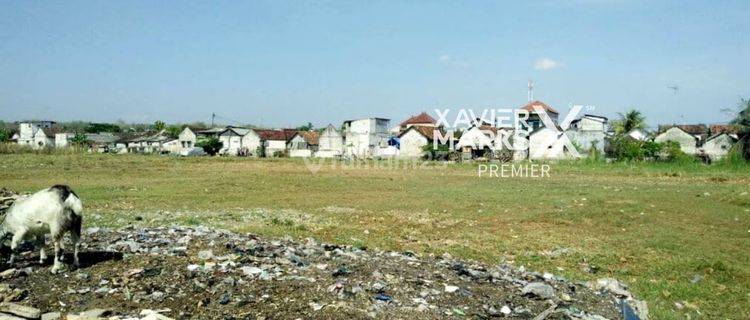 Tanah Luas Dekat Pelabuhan Asdp Brondong Lamongan 6.5jt Nego 1