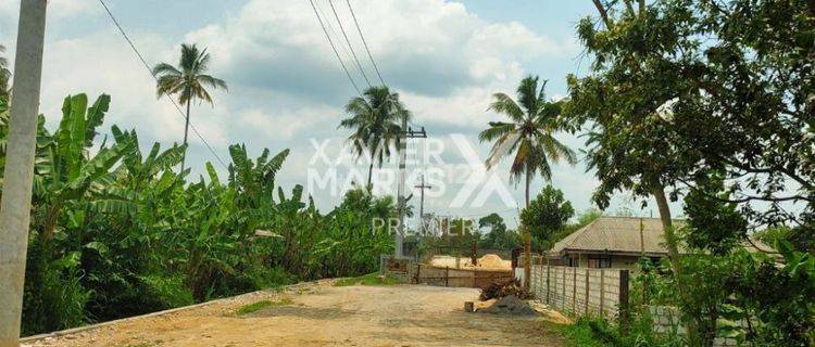 Tanah Cocok Buat Perumahan Luas di Pakis Malang 1