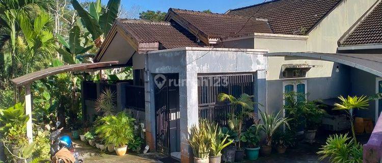 Rumah Minimalis di Tengah Kota 1