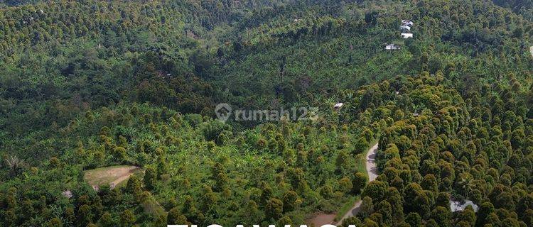 Land with sea views in Tigawasa Buleleng 1