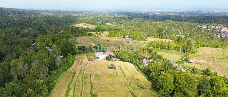 Dijual Villa Dengan Sawah Pribadi di Buleleng 1