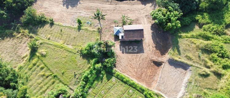 Dijual Tanah Kebun di Desa Sangsit Buleleng 1