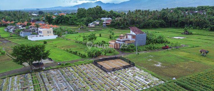 Dijual Tanah Kavling Dekat Pantai Area Anturan Singaraja 1