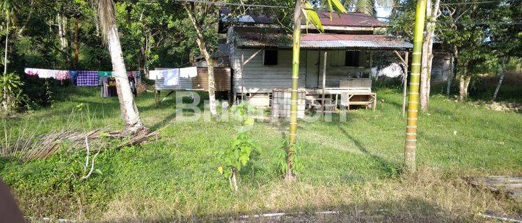 TANAH RATA SIAP BANGUN DI KARIANGAU BALIKPAPAN BARAT 1