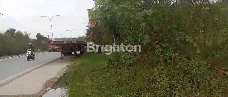 TANAH DATAR CANTIK SIAP BANGUN DI PULAU BALANG KM 13. 1