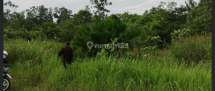 Tanah Siap Pakai di Jalan Sungai Ambangah 1