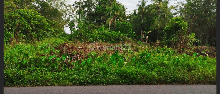 Tanah Siap Pakai di Kumpai Besar 1