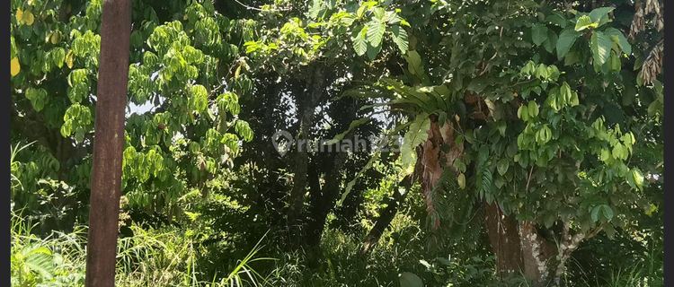 Tanah Siap Pakai di Jalan Desa Durian 1