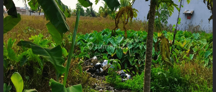 Tanah Siap Pakai di Jalan Komyos Sudarso 1