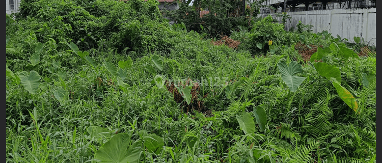 Tanah Kawasan Elit Siap Pakai di Jalan Palapa 1