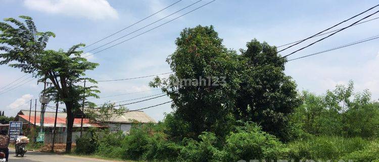 Dijual Kavling Jln Raya Serang Cibarusah  1