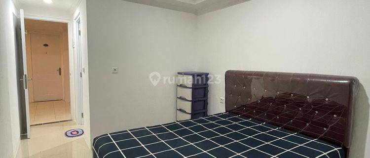 Apartemen Paltrow City, Furnished, Dekat Undip 1