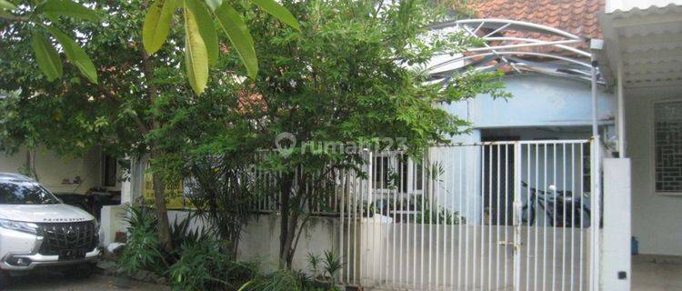 Murah Rumah  1.5 lantai siap huni di citraland utama dekat pasar Citraland 1