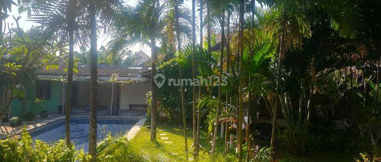 Jual tanah bonus villa di kerobokan badung dekat seminyak 1