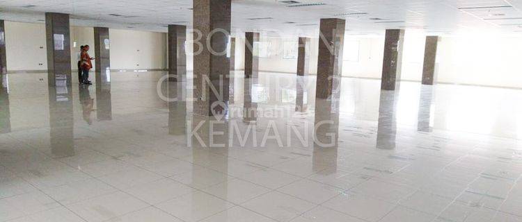 Disewakan Gedung Baru Area Buncit Dekat Mampang Pejaten  1