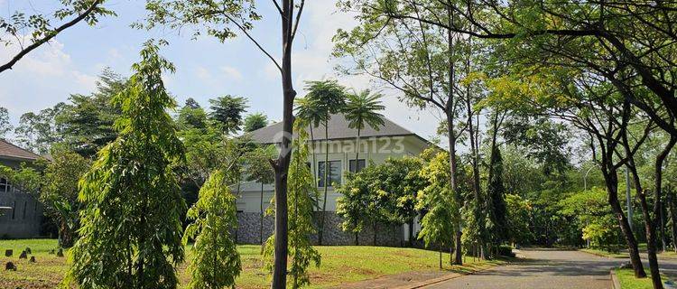 Dijual Tanah Kavling Luas 450 Meter Ppjb Serpong 1