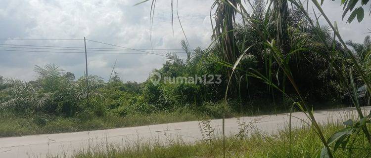 DIJUAL! TANAH DI KAMPAR, RIAU 1