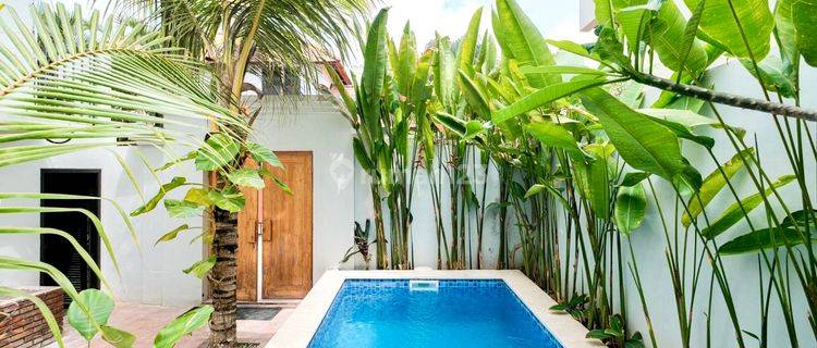 Modern Villa Fully Furnished Ready to Move In Suitable for Investment in Canggu 1