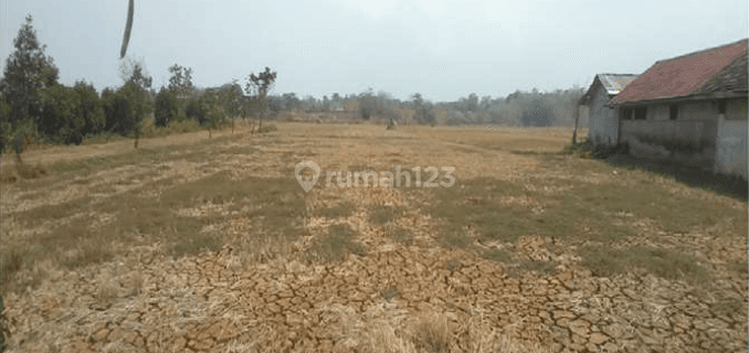 Tanah Lelang Jepara, Jawa Tengah 1