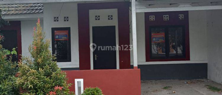 Rumah Lelang, Banten 1