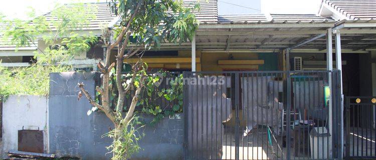 Rumah Seken Terawat Akses Dekat Terminal Cileungsi 540jtan Nego J18294 1