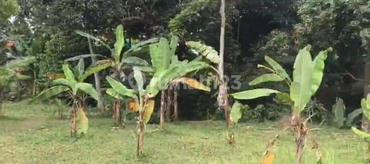 JUAL TANAH DATAR CIAWI 1