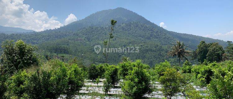 Open Kerjasama Tanah Perkebunan Untuk Produksi Argowisata 1