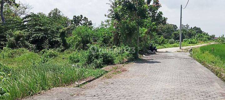 Dijual Tanah 7,35are View Sawah @nyitdah, Tabanan Bali 1