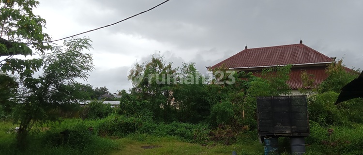 Dijual tanah 30 are @cargo, ubung, denpasar, bali 1